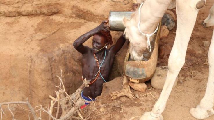 A moran watering his camels at Leparua.JPG 22-98o2FfmX34.JPG